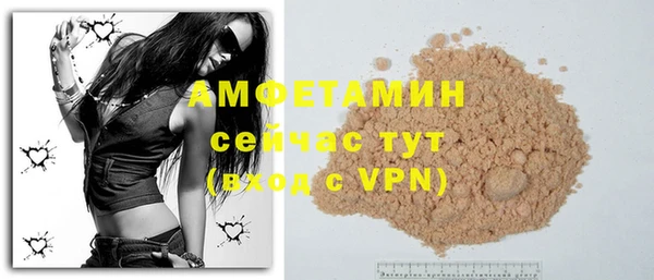 молекула духа Арсеньев