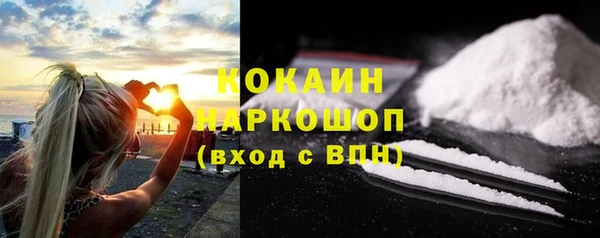 молекула духа Арсеньев