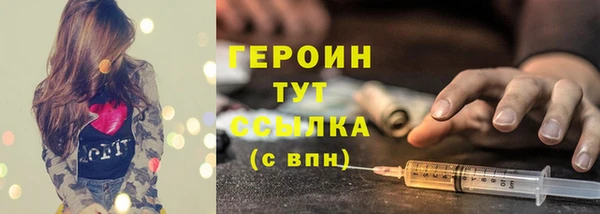 молекула духа Арсеньев
