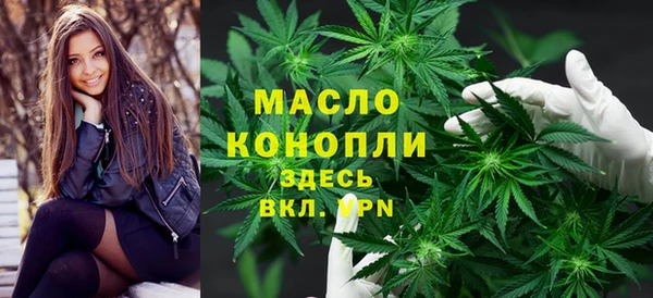 молекула духа Арсеньев