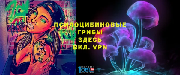 мет Аркадак