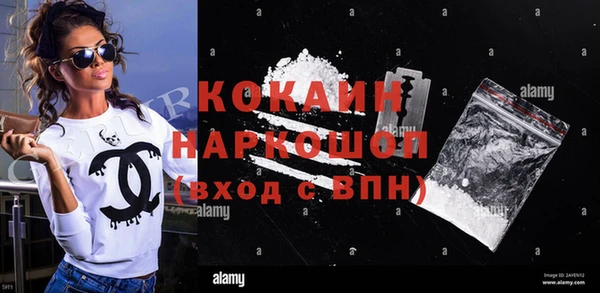 молекула духа Арсеньев