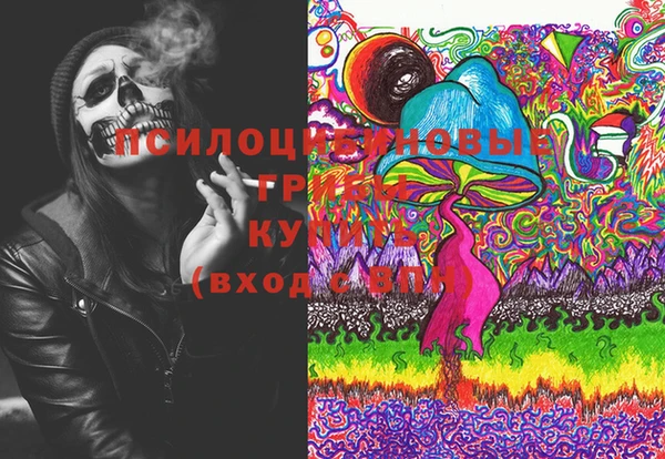 молекула духа Арсеньев