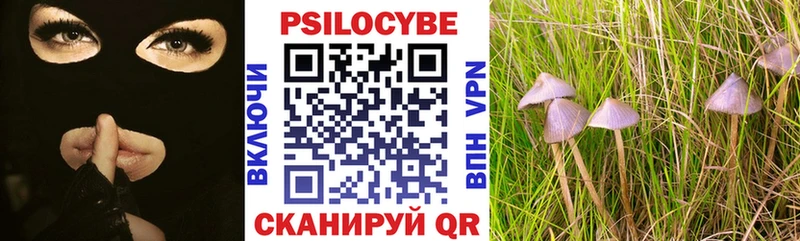 купить наркотики цена  ссылка на мегу сайт  Псилоцибиновые грибы мицелий  Порхов 